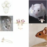 Mouse Jewel Ring